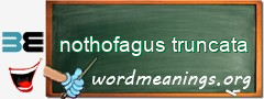 WordMeaning blackboard for nothofagus truncata